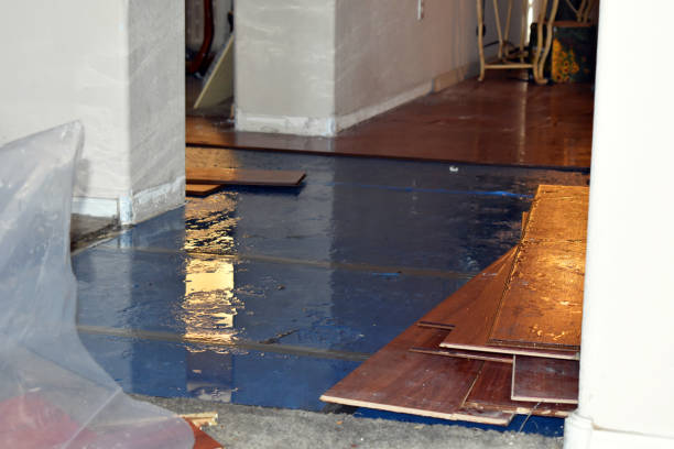 Professional Burst Pipe Cleanup technician working in Mendota, CA